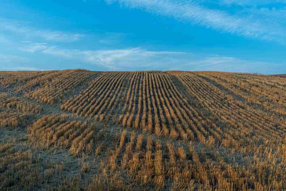 Farmland