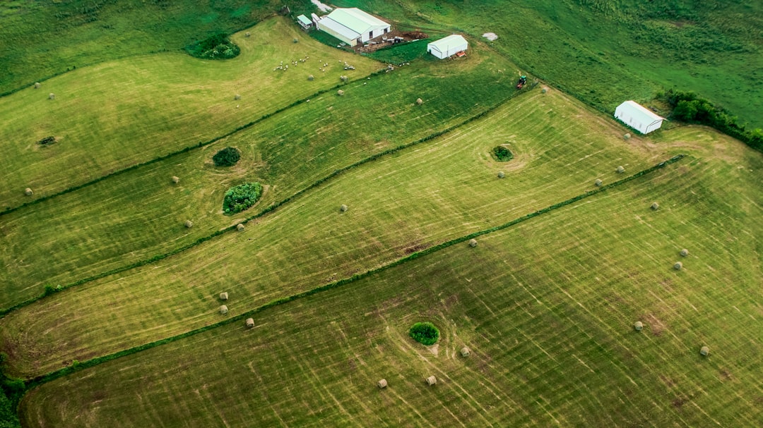 Farm Boundary Detection
